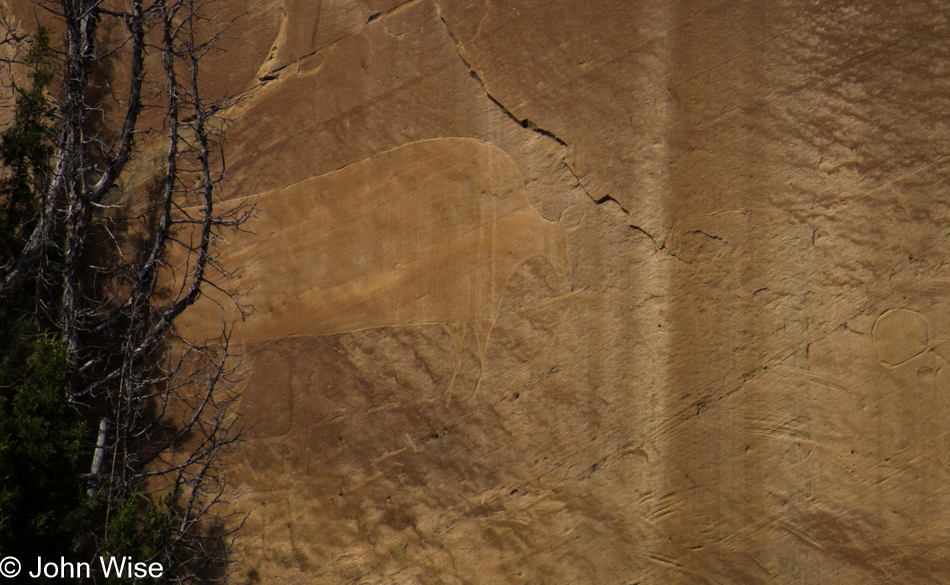 Petroglyph off the Yampa River in Dinosaur National Monument, Utah