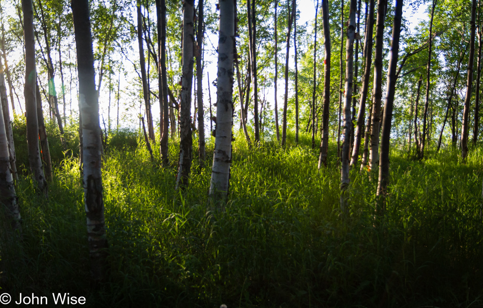 Anchorage Coastal Wildlife Refuge in Alaska