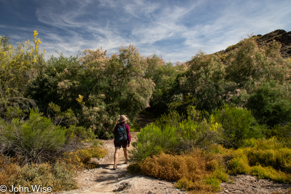 Caroline Wise on Trail 100 in the Phoenix Mountains Preserve, Arizona