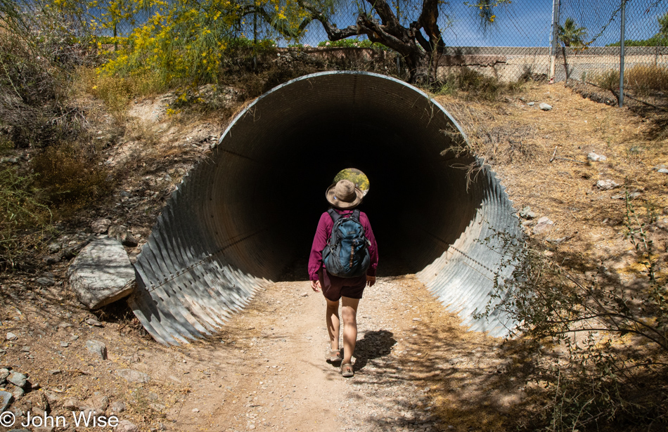 Caroline Wise on Trail 100 in the Phoenix Mountains Preserve, Arizona