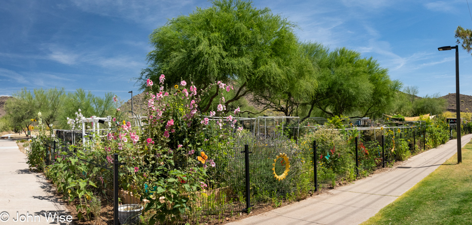 Community garden at Mountain View Park in Phoenix, Arizona
