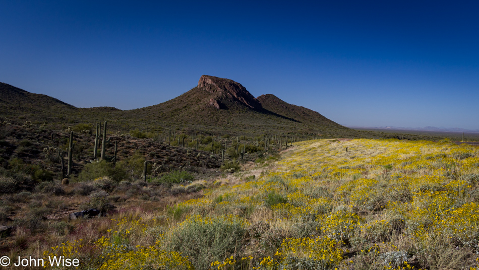 Roadside in Arizona