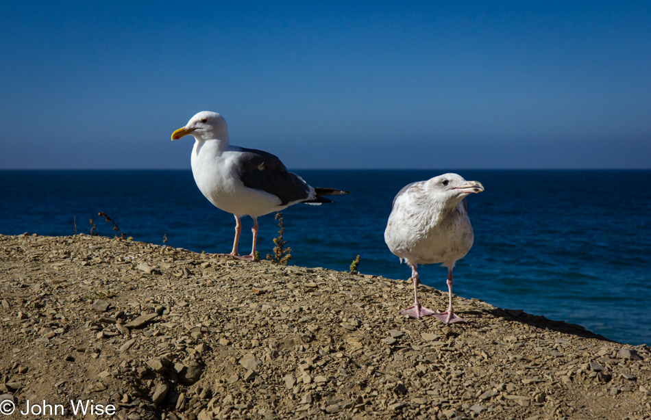 Beach near Santa Barbara, California