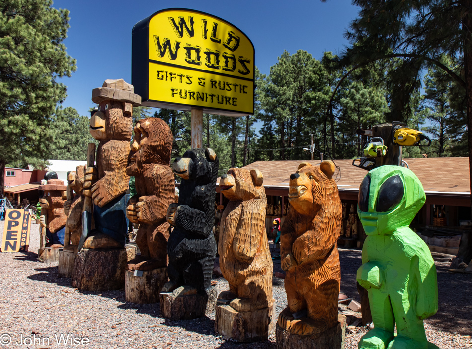 Wild Woods in Heber-Overgaard on Arizona Route 260