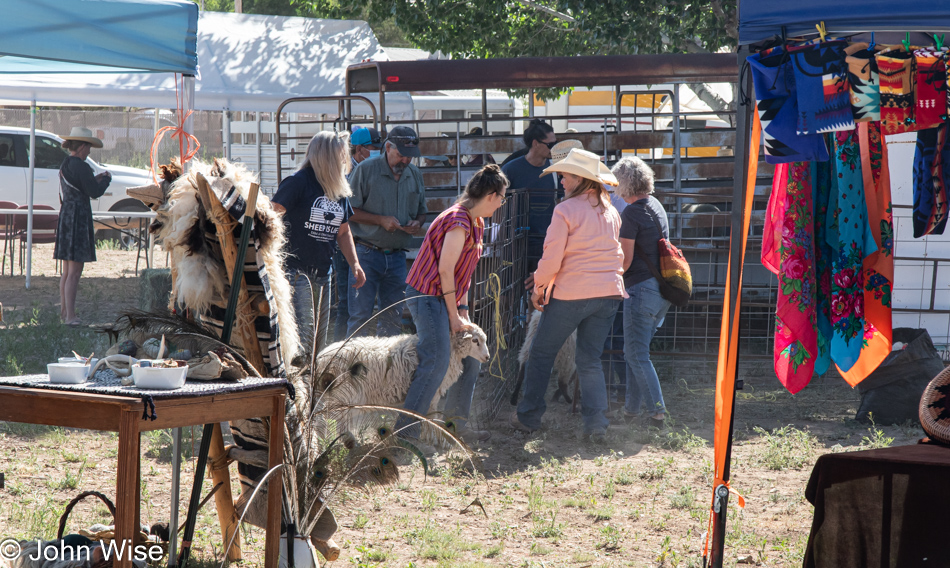 Caroline Wise at the Sheep is Life Celebration in Window Rock, Arizona