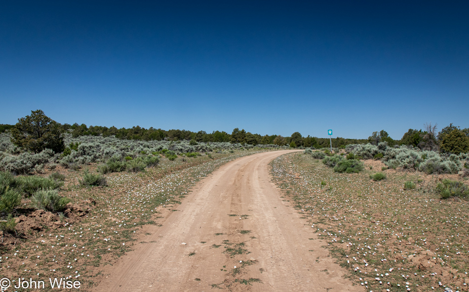 Indian Service Route 9 on Zuni Reservation in New Mexico