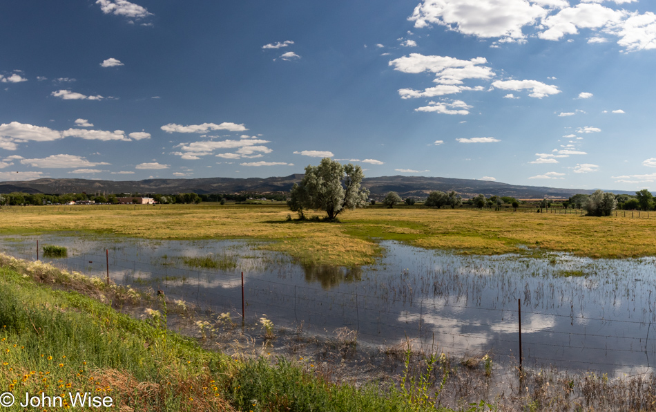 Near Springerville, Arizona