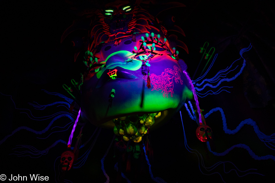 Meow Wolf in Santa Fe, New Mexico