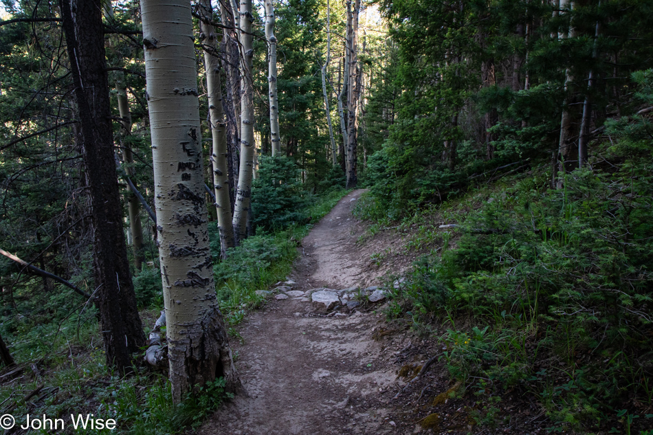 Big Tesuque Trail in the Santa Fe National Forest, Santa Fe, New Mexico