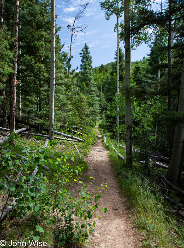 Big Tesuque Trail in the Santa Fe National Forest, Santa Fe, New Mexico