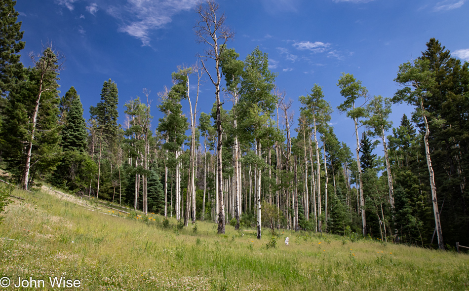 Big Tesuque Trail in the Santa Fe National Forest, Santa Fe, New Mexico