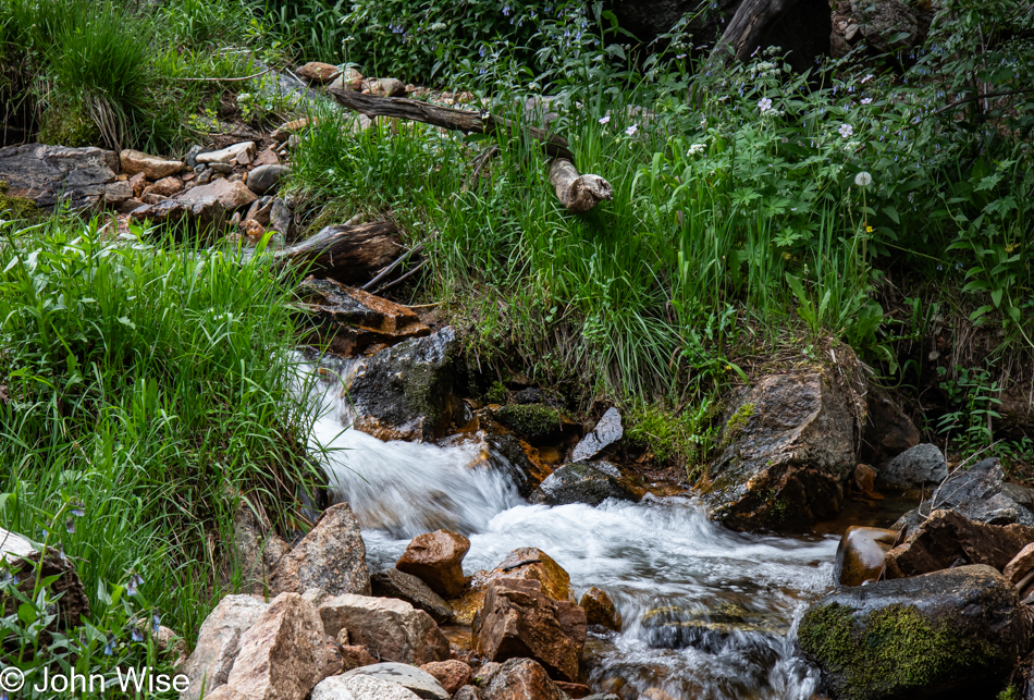 Big Tesuque Trail in the Santa Fe National Forest, Santa Fe, New Mexico