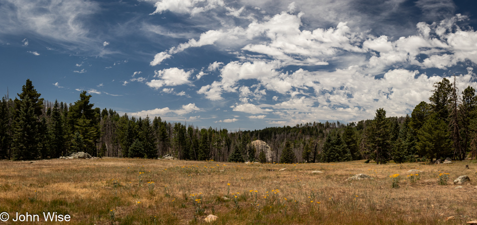 Mt Graham in the Pinaleño Mountains near Safford, Arizona