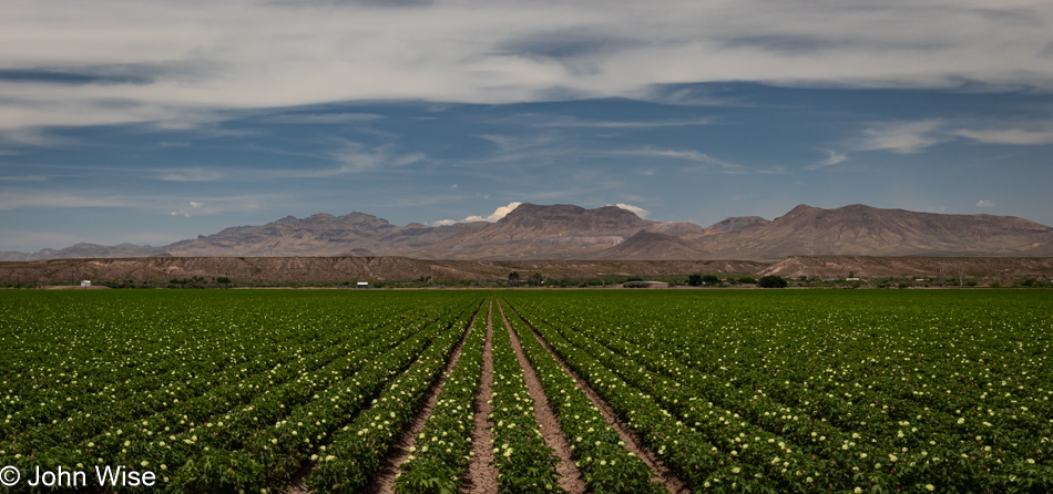 Solomon, Arizona