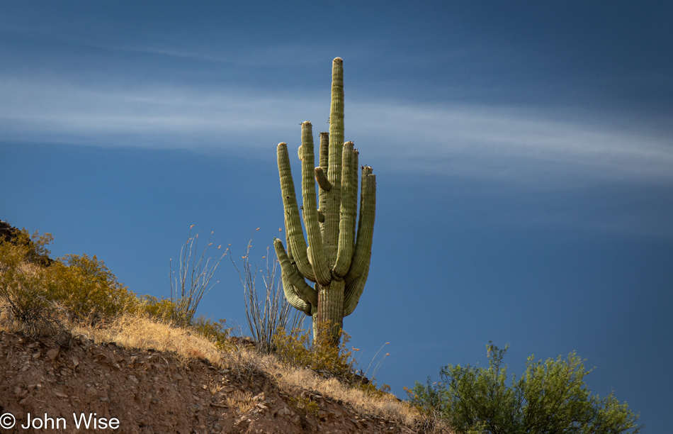 San Carlos, Arizona