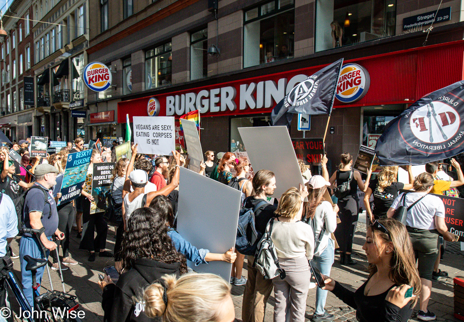 Protesters in Copenhagen, Denmark