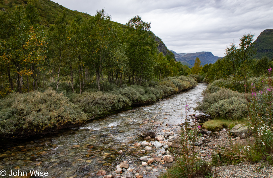 On the Rallarvegen between Myrdal and Flåm, Norway