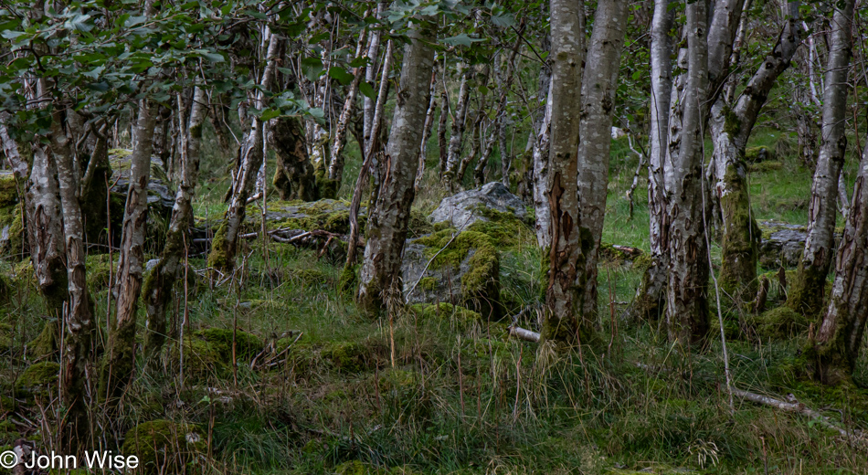 Trail to Bakka on the Nærøyfjord in Norway