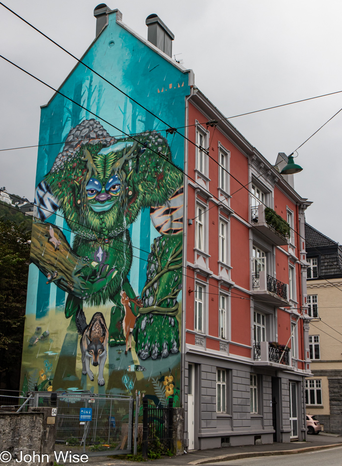 Wall art in Bergen, Norway