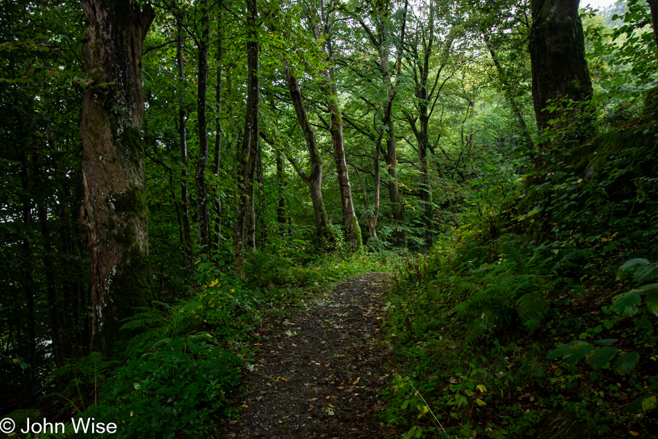 On the trail to Fantoft Stave Church in Bergen, Norway