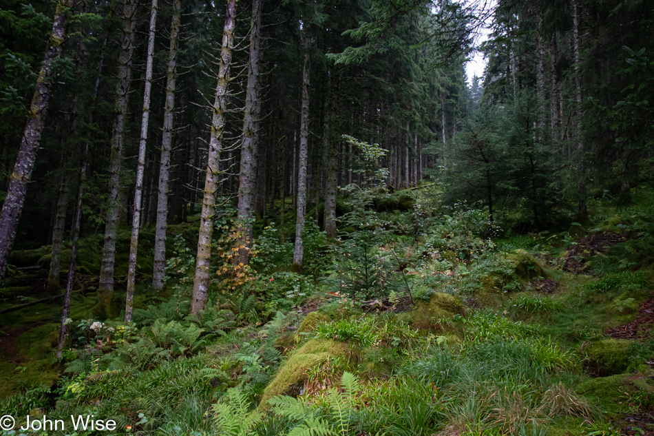 Mount Floyen in Bergen, Norway