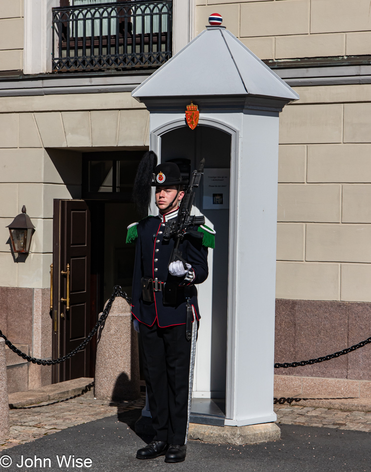 Guard at the Royal Palace in Oslo, Norway