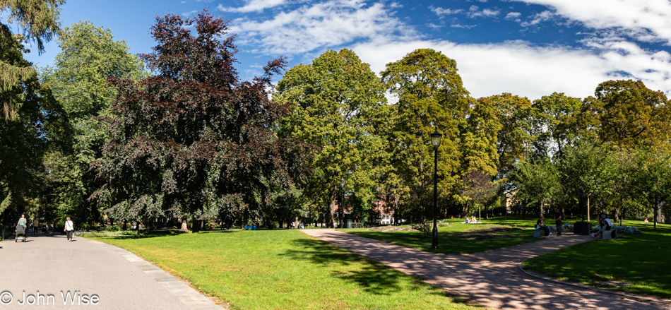 Palace Park next to the Royal Palace in Oslo, Norway