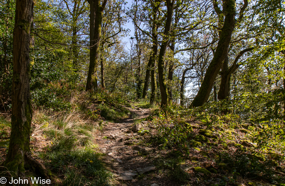 3 Burgen Weg in Königstein im Taunus near Frankfurt, Germany