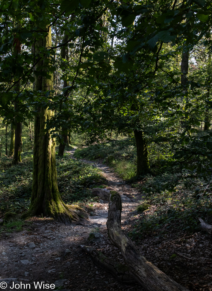 3 Burgen Weg in Königstein im Taunus near Frankfurt, Germany