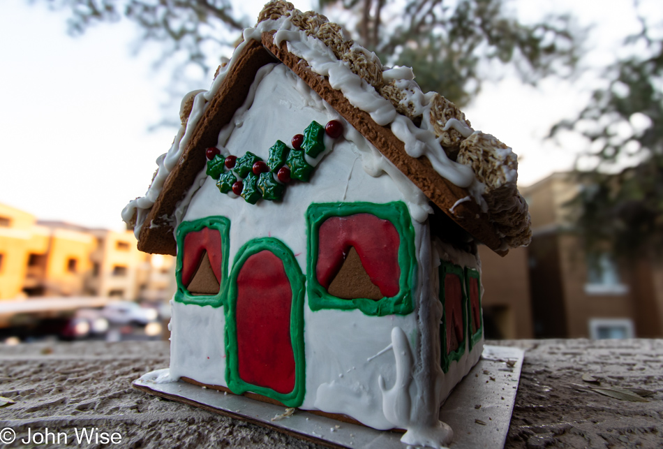Caroline Wise decorated her first gingerbread house