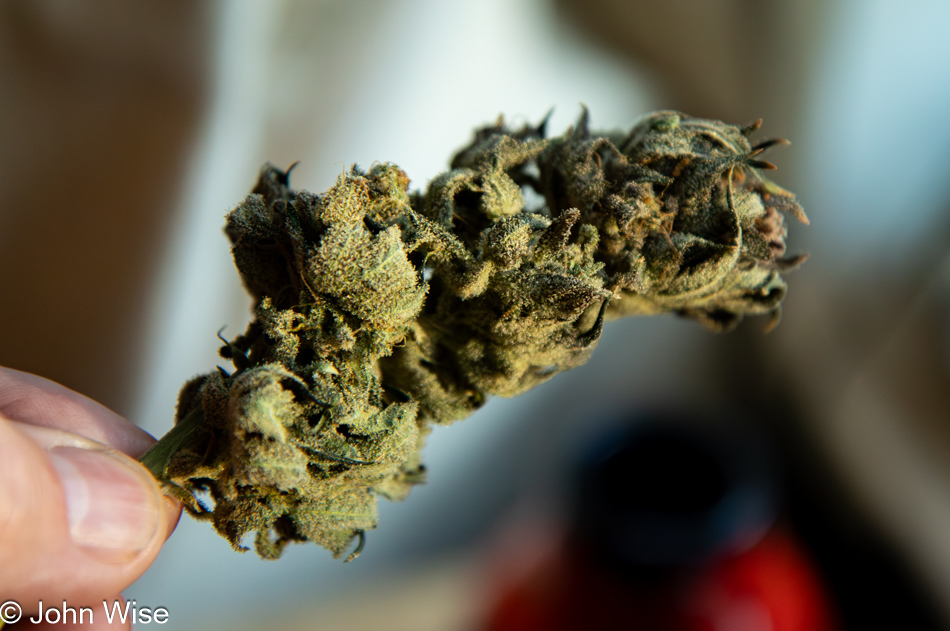 Marijuana in Frankfurt, Germany